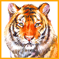 Favorites Icon for Tiger Bay Club